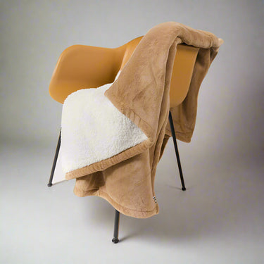 Wicked Plush Blanket